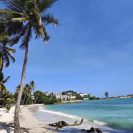 Studio West-Indies Residence Savane Et Archipel Le Gosier  Exterior foto